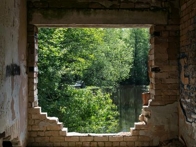 An open window overlooking a lush garden in morning.