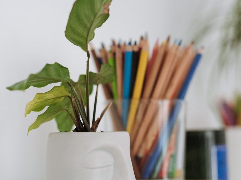 Clean and minimalist workspace with green plant accents.